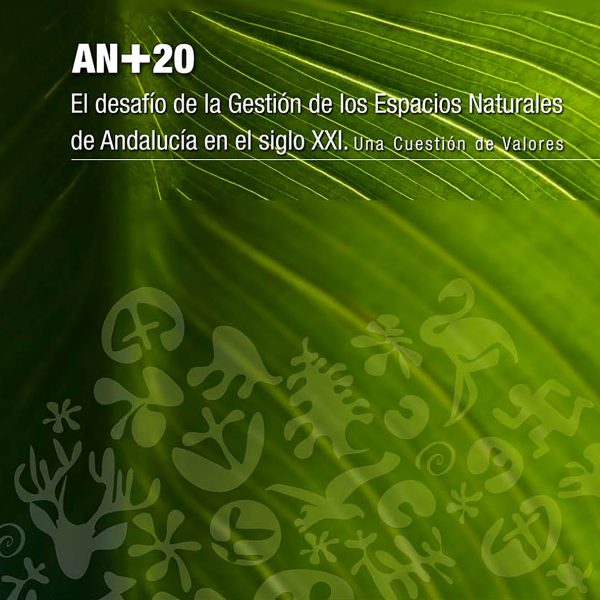 Libro AN+20-portB-w