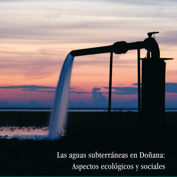 Portada23x26 trazada